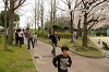 hana1 (120)_samu.gif